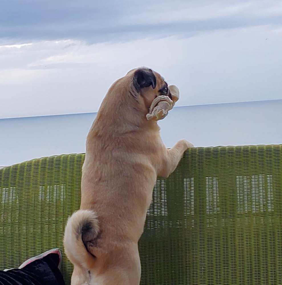 Meet your Posher, Consuelo